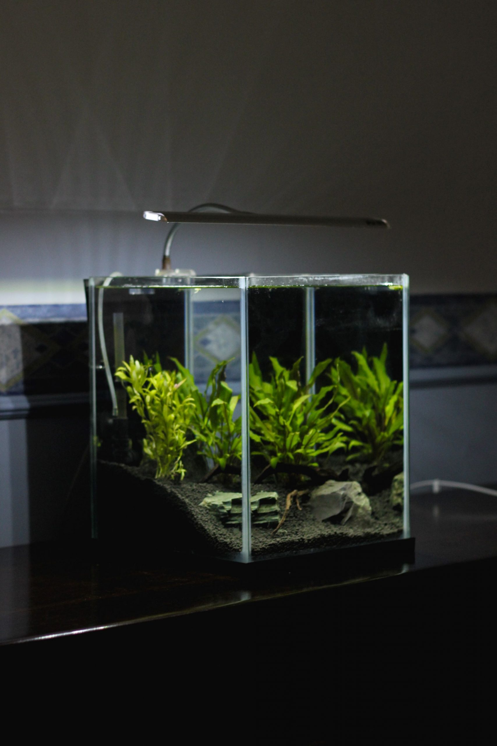 You are currently viewing Tips for packing an aquarium for transport