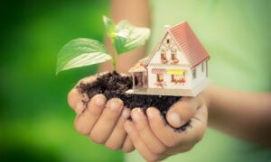 Green moving – tips for sustainable and eco-friendly relocation