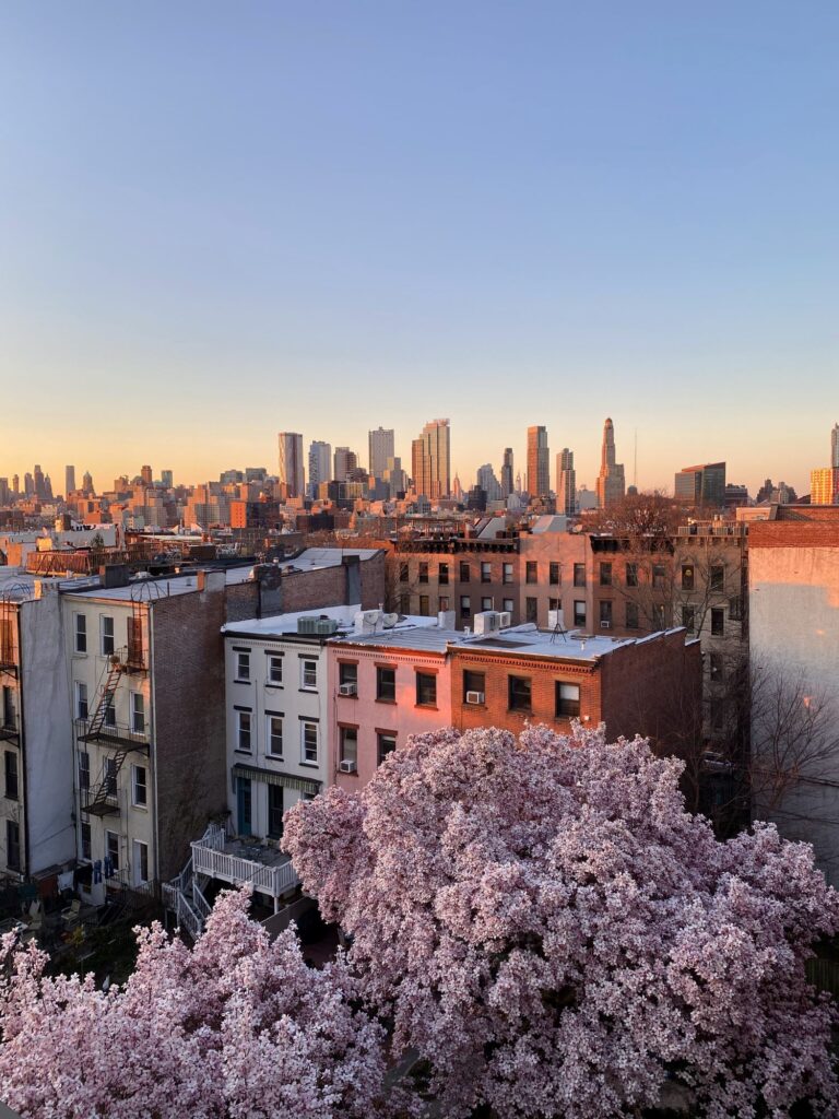 Moving to Brooklyn Heights