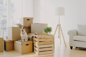 Read more about the article Planning A Move With Pets
