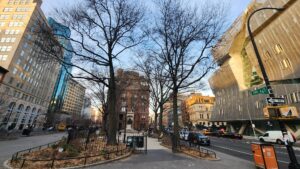 Read more about the article Where to Live in NYC if You Love Farmers Markets: A Neighborhood Guide